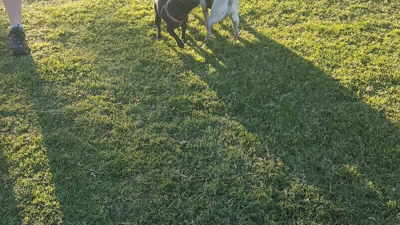 Paradise Valley Park - Phoenix, AZ