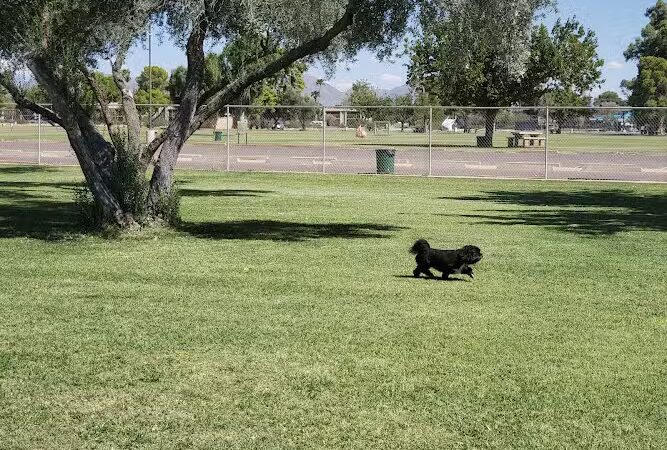 Paradise Valley Park - Phoenix, AZ