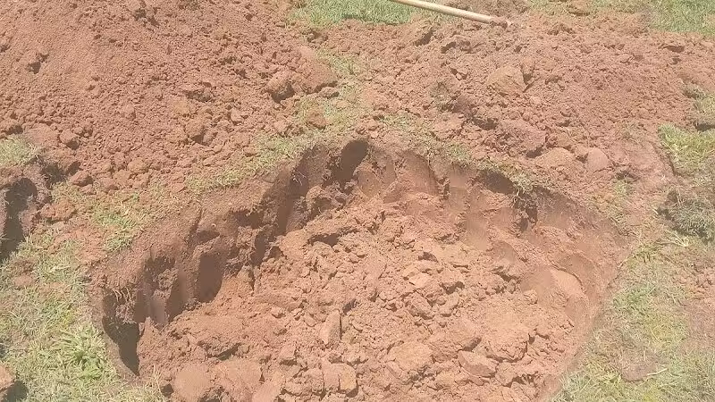Park Meadows Playgrounds - Phoenix, AZ