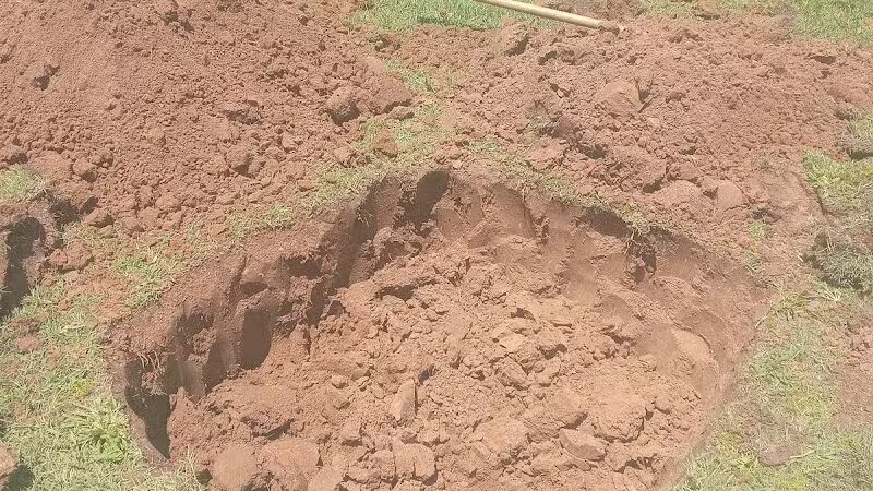 Park Meadows Playgrounds - Phoenix, AZ