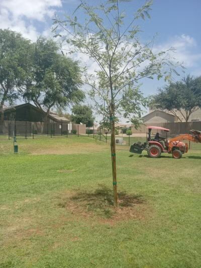 Park Meadows Playgrounds - Phoenix, AZ