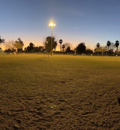 PetSmart Dog Park - Phoenix, AZ