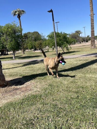 PetSmart Dog Park - Phoenix, AZ