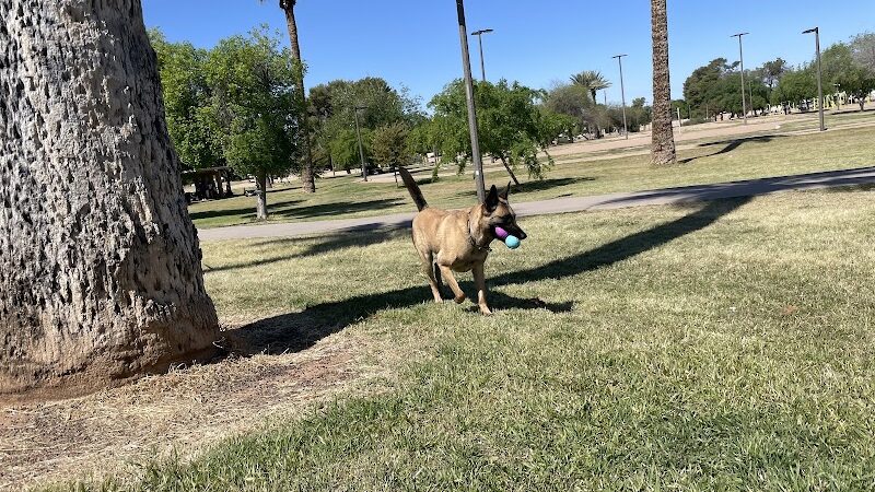 PetSmart Dog Park - Phoenix, AZ