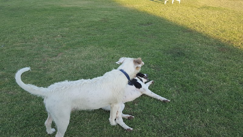 PetSmart Dog Park - Phoenix, AZ