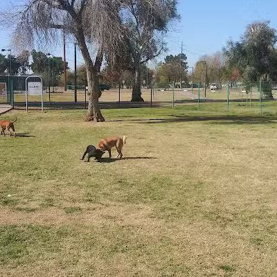 PetSmart Dog Park - Phoenix, AZ