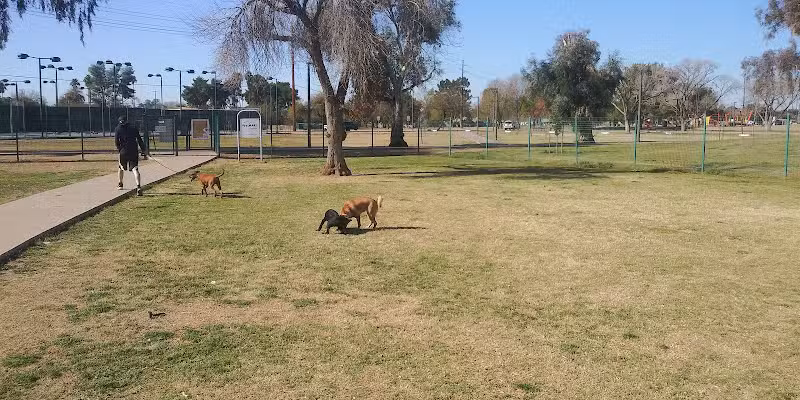 PetSmart Dog Park - Phoenix, AZ