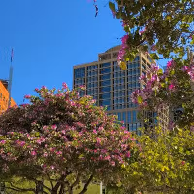 Phoenix - Phoenix, AZ