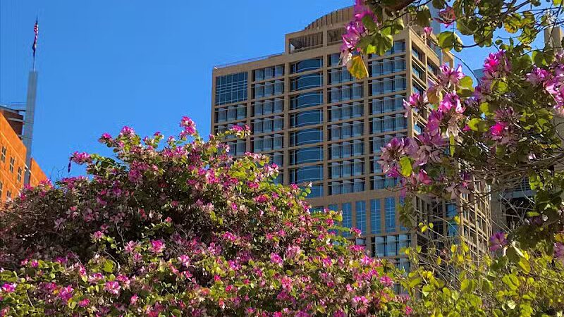 Phoenix - Phoenix, AZ