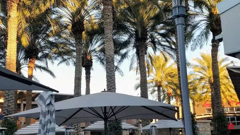 Phoenix - Phoenix, AZ