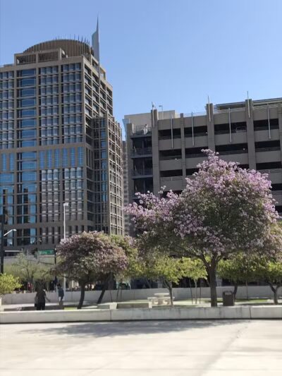 Phoenix - Phoenix, AZ