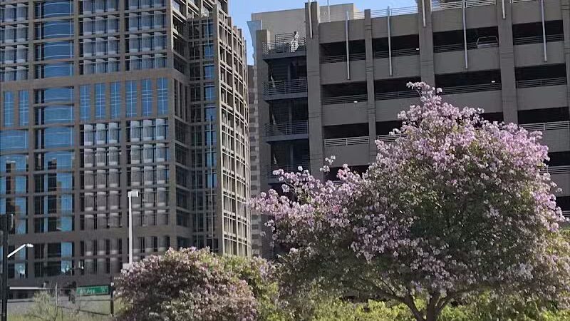 Phoenix - Phoenix, AZ