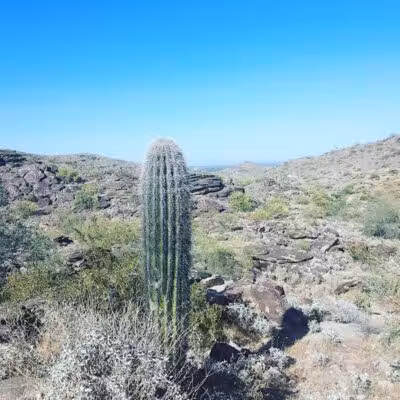 Pima Wash Trail - Phoenix, AZ
