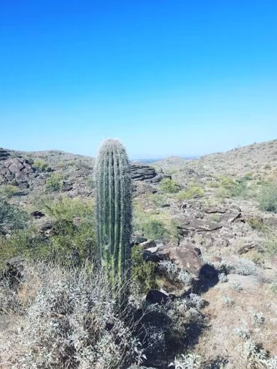 Pima Wash Trail - Phoenix, AZ