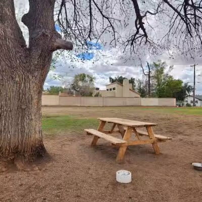 Pomelo Dog Park - Phoenix, AZ