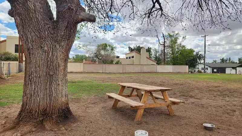 Pomelo Dog Park - Phoenix, AZ