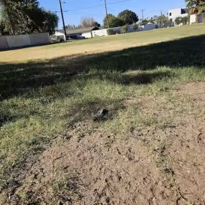 Pomelo Dog Park - Phoenix, AZ