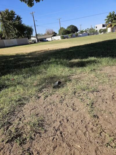 Pomelo Dog Park - Phoenix, AZ