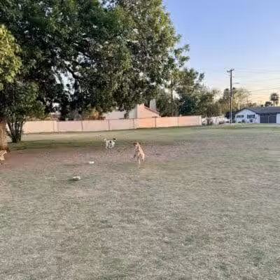 Pomelo Dog Park - Phoenix, AZ