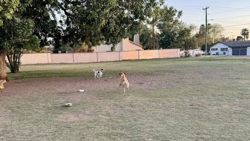 Pomelo Dog Park - Phoenix, AZ