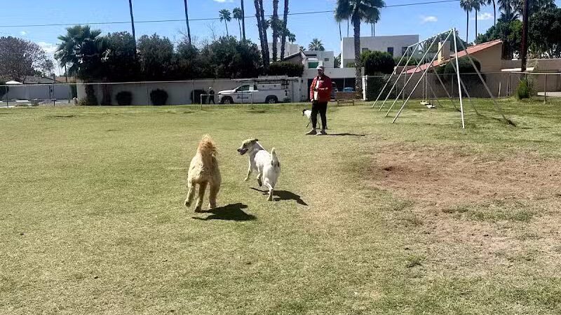 Pomelo Dog Park - Phoenix, AZ