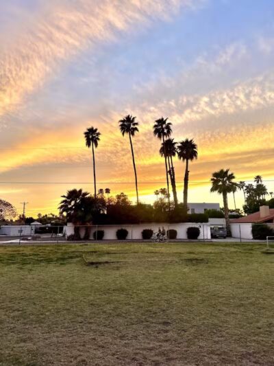 Pomelo Dog Park - Phoenix, AZ