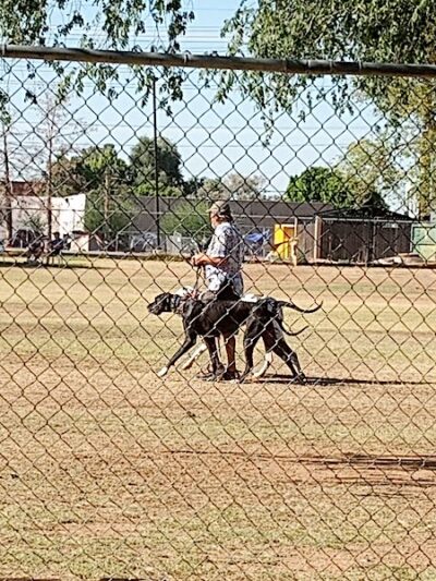Rose Mofford Dog Park - Phoenix, AZ
