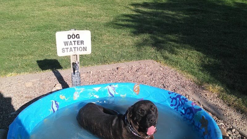 Rose Mofford Dog Park - Phoenix, AZ