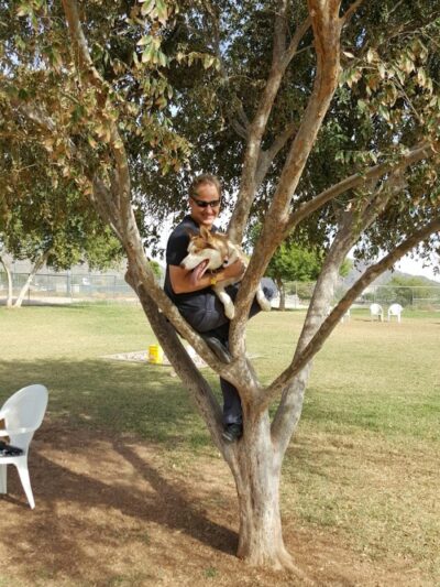 Rose Mofford Dog Park - Phoenix, AZ