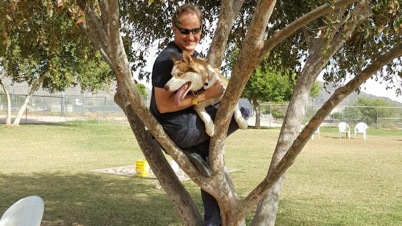 Rose Mofford Dog Park - Phoenix, AZ