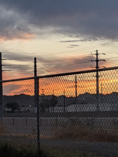 Rose Mofford Dog Park - Phoenix, AZ