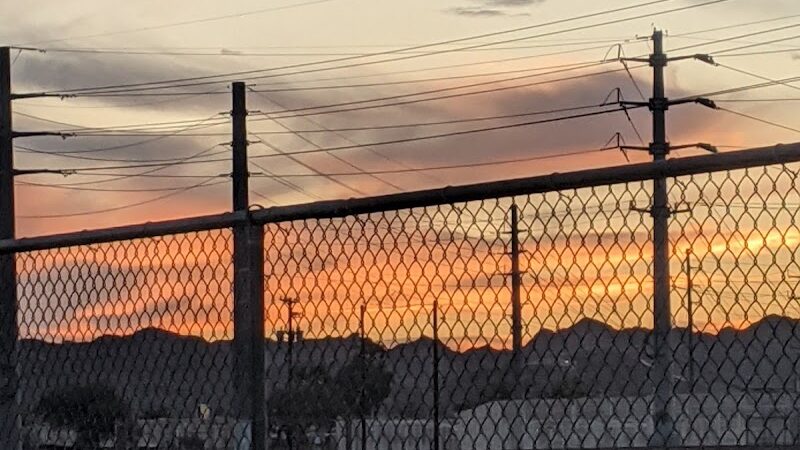 Rose Mofford Dog Park - Phoenix, AZ