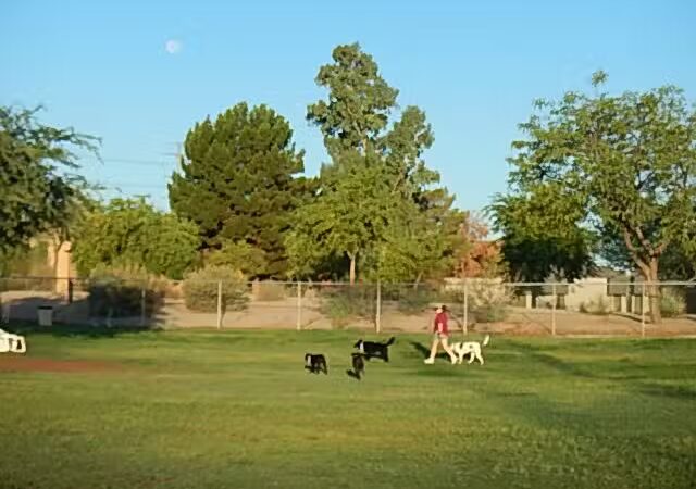 Rose Mofford Dog Park - Phoenix, AZ