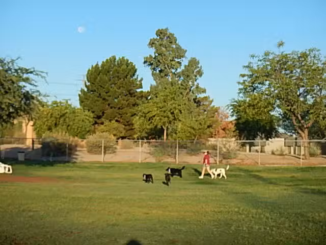 Rose Mofford Dog Park - Phoenix, AZ
