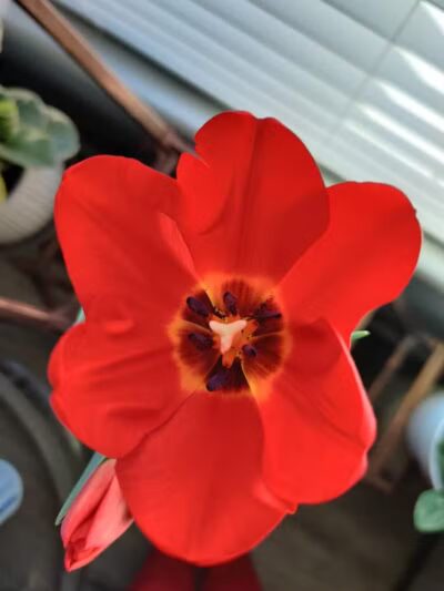 Silva Mountain Park - Phoenix, AZ