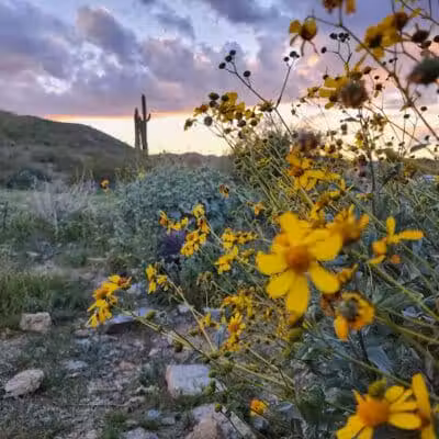 South mountain Hiking @46th st - Phoenix, AZ