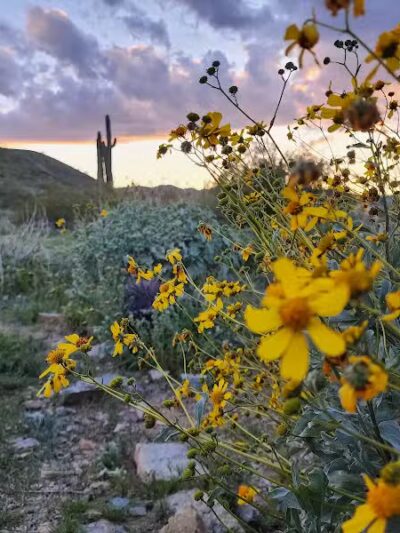 South mountain Hiking @46th st - Phoenix, AZ