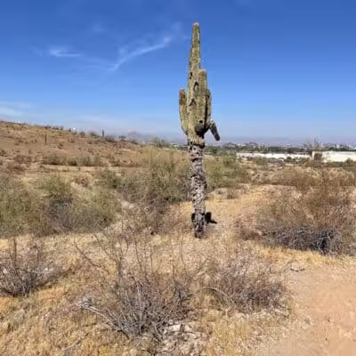 South mountain Hiking @46th st - Phoenix, AZ