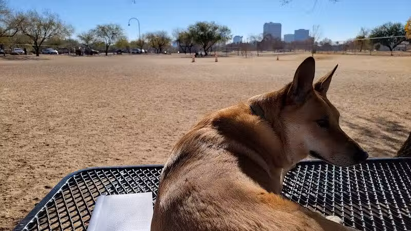 Steele Indian School Park Dog Park - Phoenix, AZ