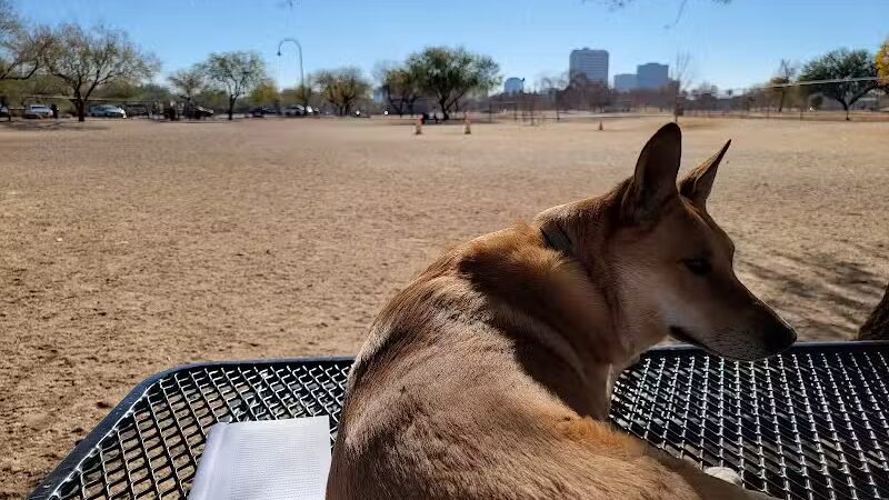 Steele Indian School Park Dog Park - Phoenix, AZ