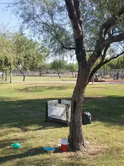 Steele Indian School Park Dog Park - Phoenix, AZ