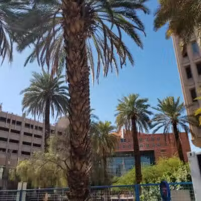 Thelda Williams Paw-Pup Park - Phoenix, AZ