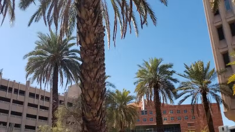 Thelda Williams Paw-Pup Park - Phoenix, AZ