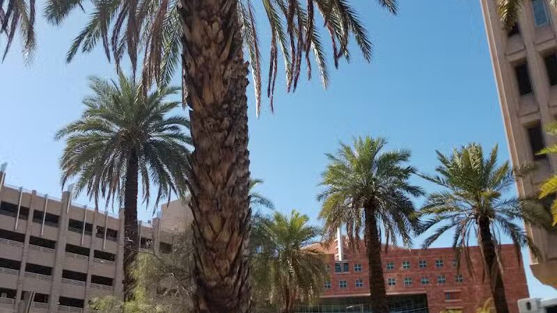 Thelda Williams Paw-Pup Park - Phoenix, AZ