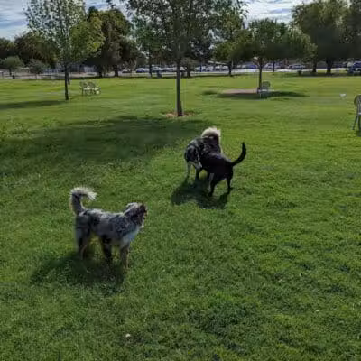 Washington Park - Phoenix, AZ