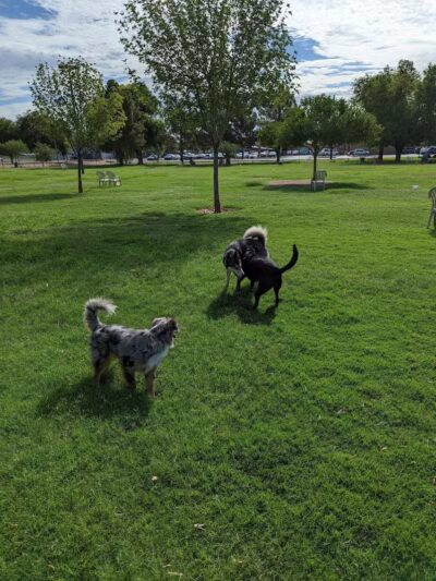 Washington Park - Phoenix, AZ