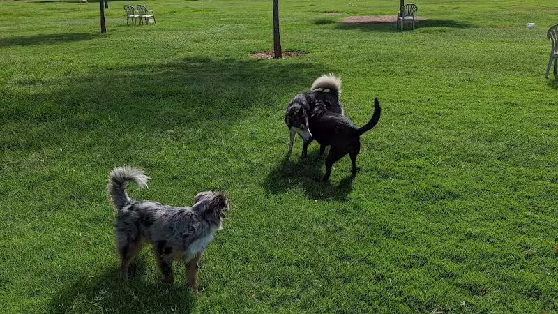 Washington Park - Phoenix, AZ