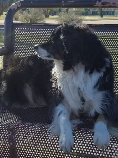 Washington Park - Phoenix, AZ