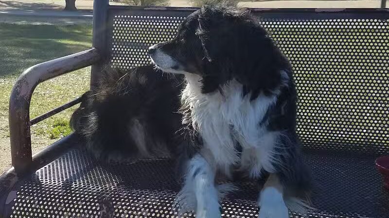 Washington Park - Phoenix, AZ