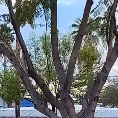 Washington Park - Phoenix, AZ